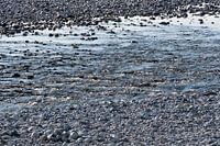 The river of youth