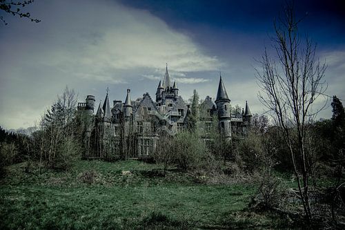 Gezicht op Chateau Noisy