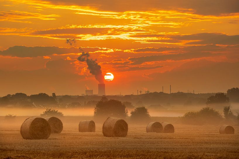Summer Evening by Frank Heldt