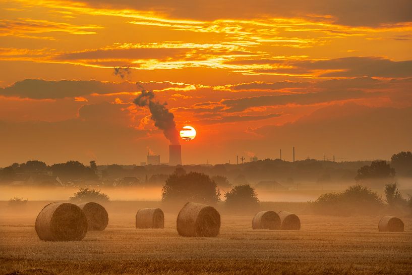 Sommerabend von Frank Heldt