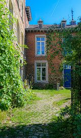 Grapevine next to the entrance to Chateau Cortils by Marco Kolsteeg