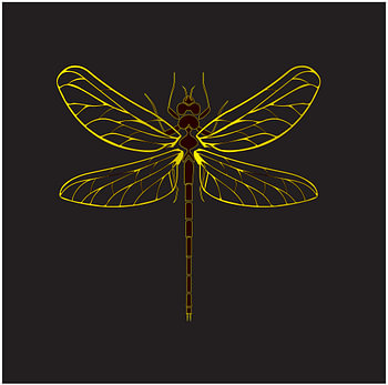 Dragonfly insect yellow gold color on black background illustration