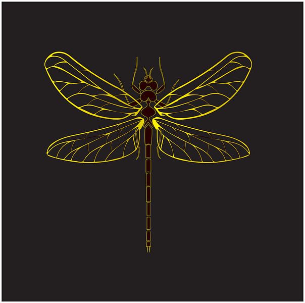Insecte libellule couleur jaune or sur fond noir par sarp demirel