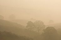 Brouillard entre les collines par Simone Meijer Aperçu