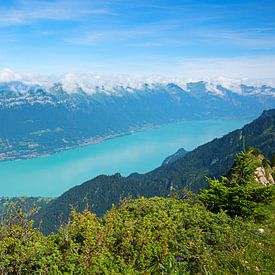 Uitzicht op het meer van Brienz vanaf de Schynigen Platte, Zwitserland van SusaZoom