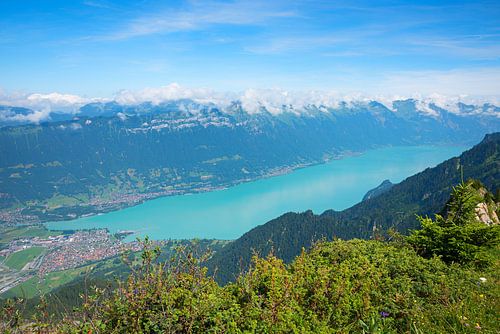 Uitzicht op het meer van Brienz vanaf de Schynigen Platte, Zwitserland