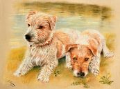 Hondenportret Jack Russell Terrier van Marita Zacharias thumbnail