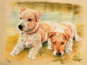 Hondenportret Jack Russell Terrier van Marita Zacharias