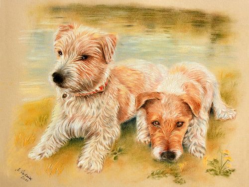 Hondenportret Jack Russell Terrier