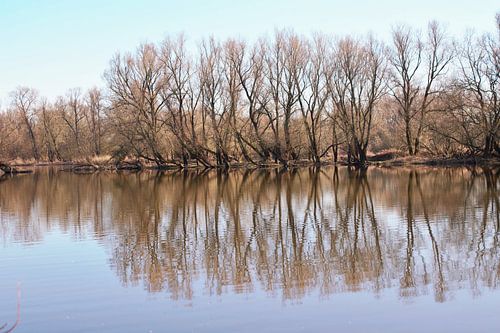 Reflexion von Yvonne van Triest
