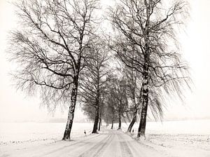Winterliche Straße