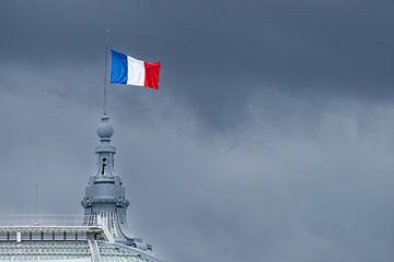 Vive la France by Walter G. Allgöwer