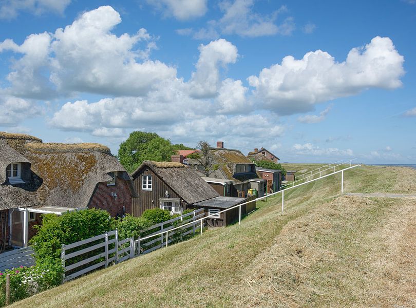 Norderhafen auf der Halbinsel Nordstrand von Peter Eckert
