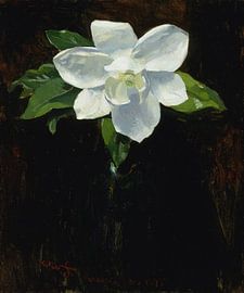 Charles Walter Stetson, Magnolia
