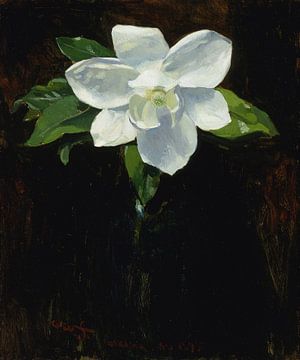 Charles Walter Stetson, Magnolia