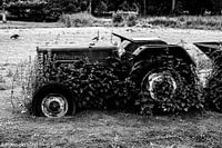 Plant owns tractor