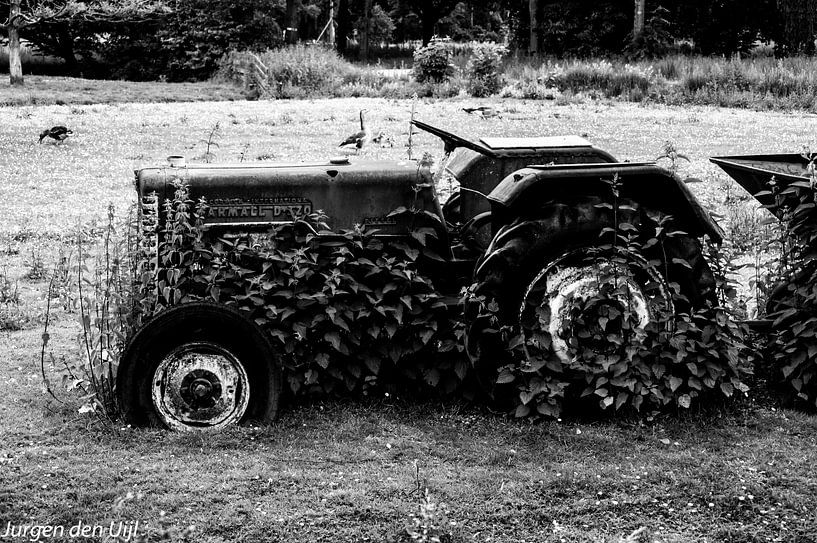Plant owns tractor by Jurgen den Uijl
