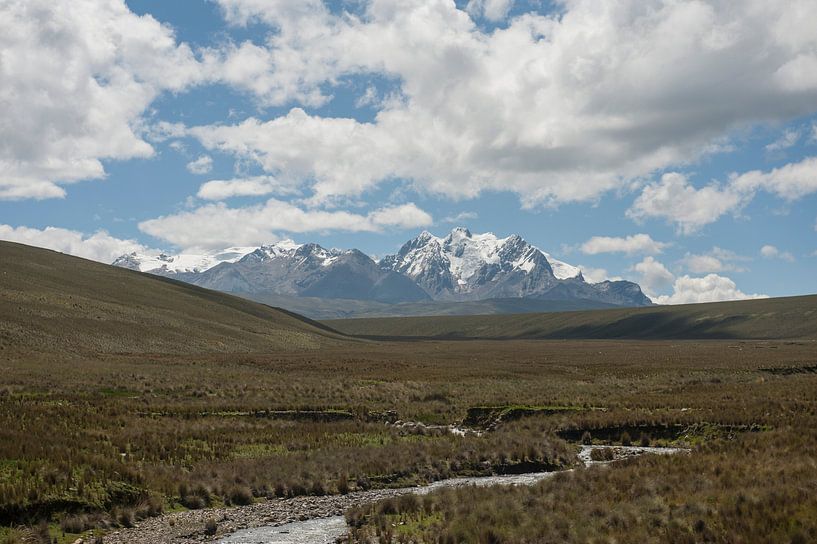 Bofedales peatlands by Richard Wareham
