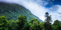 Hills overlooking Muckross Lake, Killarney National Park, Ireland van Colin van der Bel thumbnail