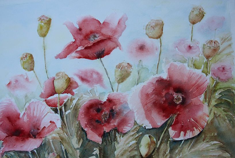 Feld mit Mohnblumen rot (Aquarell) von Anja Zinken Bertens