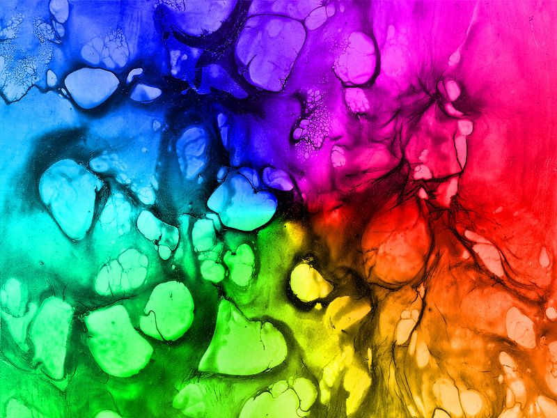 Zellen 2 - Regenbogen von Katrin Behr
