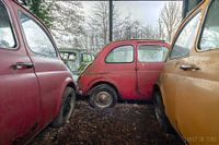 Ein verlassener Hangar voller bunter Fiats