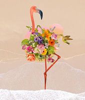 Flamingo on the beach