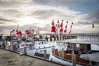 Fishing boat on Fehmarn