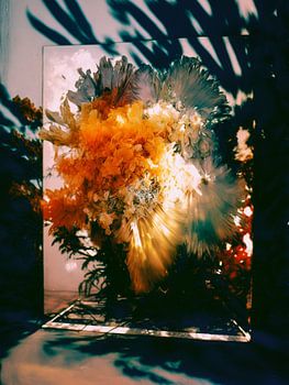 Exploding Bed of Tropical Flowers and Glass, 1