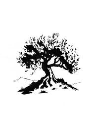 Olive tree von beangrphx Illustration and paintings