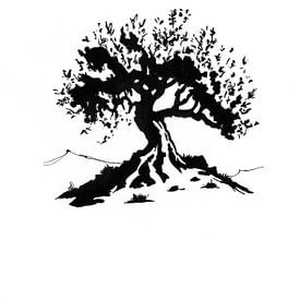 Olive tree von beangrphx Illustration and paintings
