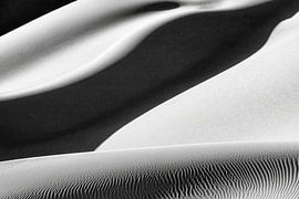 Sahara Desert. Sand dunes. by Frans Lemmens