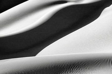 Sahara Desert. Sand dunes. by Frans Lemmens