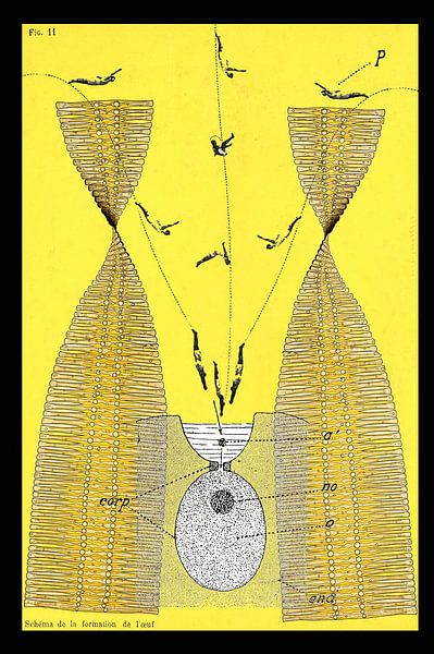 Schema De La Formation by POPO V