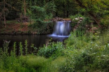 Peaceful dreams in the park