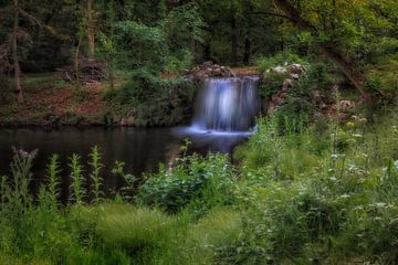 Vredige dromen in het park