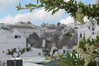 Alberobello
