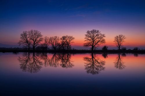 Kleurenpracht bij de Elshoutse Wiel