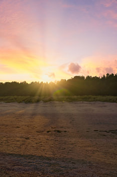 Uitzicht vanaf de Baltische Zee naar het strand op Usedom met zonsondergang achter het bos