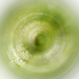 Fragiel van Katja Waltmans