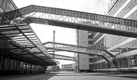 Van Nelle Fabrik in Rotterdam von MS Fotografie | Marc van der Stelt Miniaturansicht