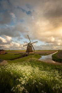 Molen de Goliath in het Groninger landschap bij avondlicht met een mooie Hollandse wolkenlicht