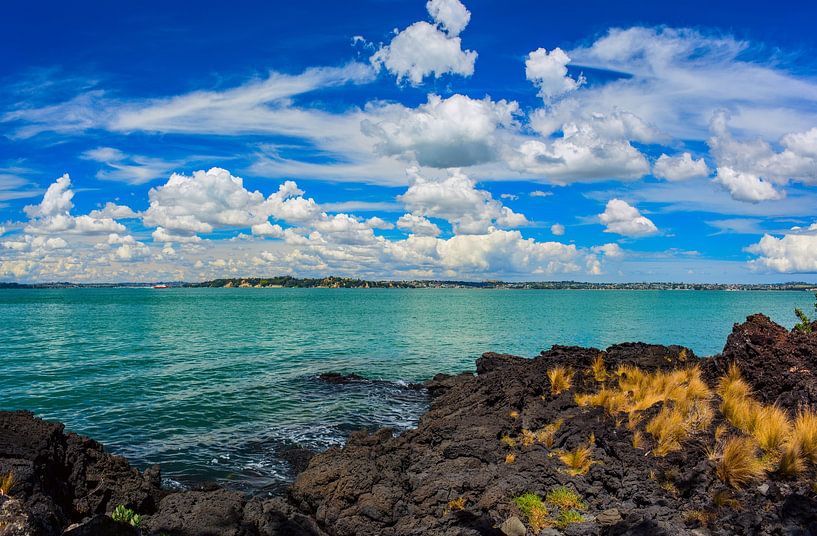 Rangitoto Island, district of Auckland City. New Zealand by Yevgen Belich