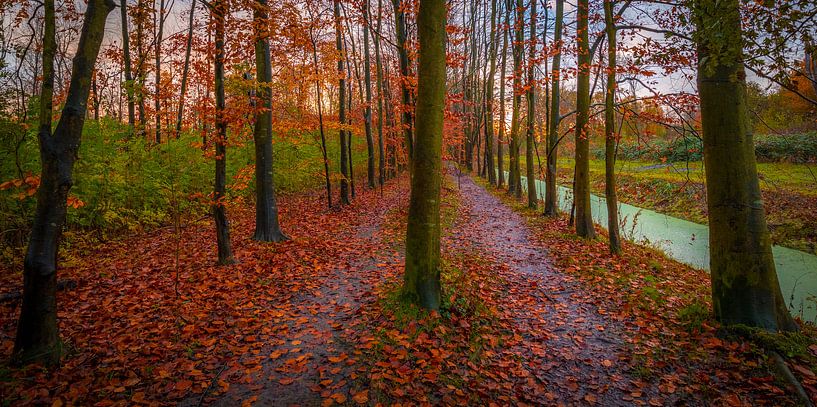 Links of rechts van peterheinspictures