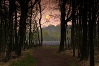In the early morning