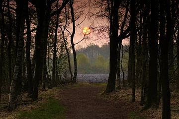 Am frühen Morgen von dick van niejenhuis