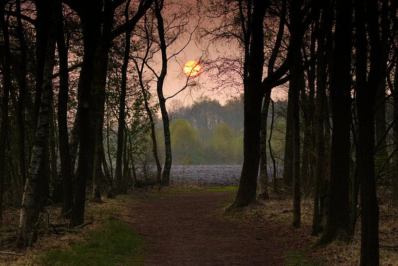In de vroege morgen van dick van niejenhuis