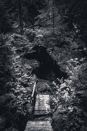 Blair Witch Project zwischen Felsen und Sandsteinen in Bad Schandau von Jakob Baranowski - Photography - Video - Photoshop