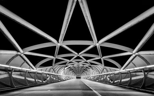 Fietsbrug de groene verbinding in zwart en wit