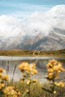 Mirroring the Alps